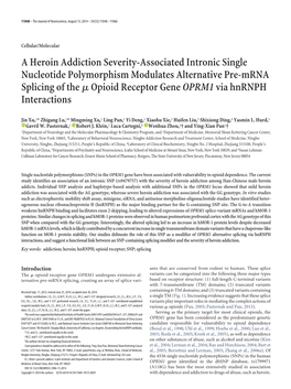 A Heroin Addiction Severity-Associated Intronic Single