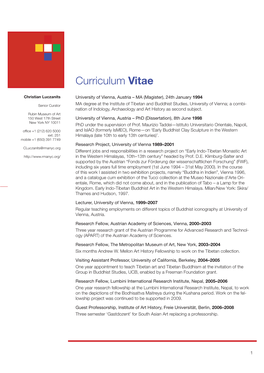 Curriculum Vitae