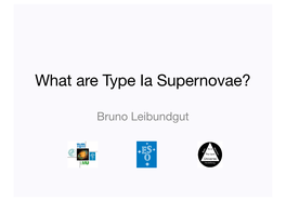 What Are Type Ia Supernovae?
