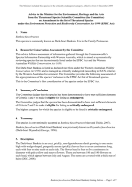 (Dark-Bract Banksia) Listing Advice — Page 1 of 7 the Minister Included This Species in the Critically Endangered Category, Effective from 1 December 2009