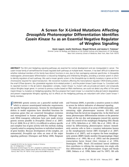 A Screen for X-Linked Mutations Affecting Drosophila Photoreceptor Differentiation Identiﬁes Casein Kinase 1A As an Essential Negative Regulator of Wingless Signaling