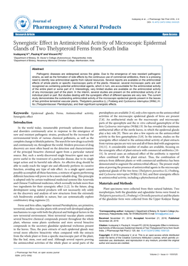 Synergistic Effect in Antimicrobial Activity of Microscopic Epidermal