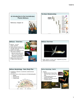 CH33 Molluscs.Pptx