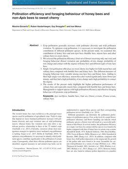 Pollination Efficiency and Foraging Behaviour of Honey Bees and Non