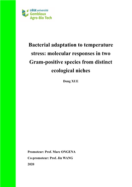 Bacterial Adaptation to Temperature Stress: Molecular Responses in Two Gram-Positive Species from Distinct Ecological Niches