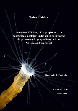 Nausithoe Kölliker, 1853: Propostas Para Delimitação Morfológica Das Espécies E Relações De Parentesco Do Grupo (Nausithoidae, Coronatae, Scyphozoa)