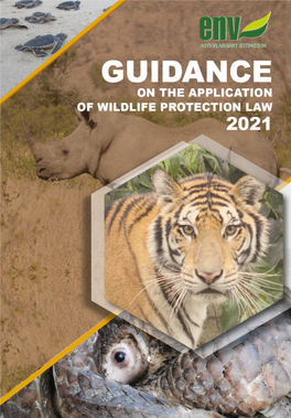 Law-Guidance-ENV-2021-EN-Aug-5