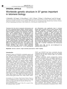 Worldwide Genetic Structure in 37 Genes Important in Telomere Biology