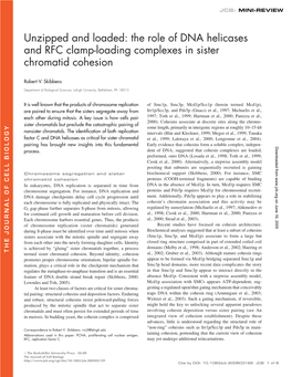 The Role of DNA Helicases and RFC Clamp-Loading Complexes in Sister