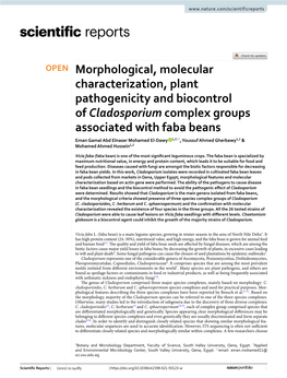 Morphological, Molecular Characterization, Plant