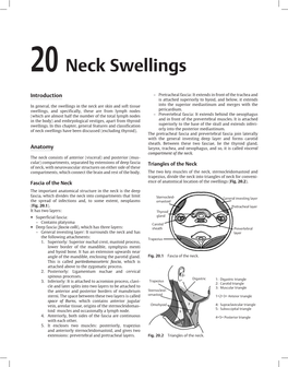 20 Neck Swellings