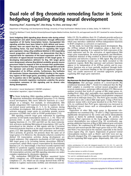 Dual Role of Brg Chromatin Remodeling Factor in Sonic Hedgehog Signaling During Neural Development