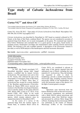 Type Study of Calvatia Lachnoderma from Brazil