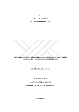 (Hizan-Bitlis) Arasindaki Metamorfitlerin Petrolojisi Ve Jeokimyasal Özellikleri