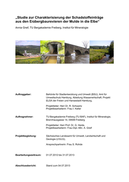 „Studie Zur Charakterisierung Der Schadstoffeinträge Aus Den Erzbergbaurevieren Der Mulde in Die Elbe“