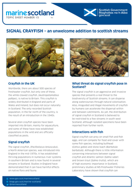 SIGNAL CRAYFISH – an Unwelcome Addition to Scottish Streams