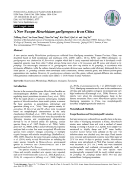 A New Fungus Metarhizium Gaoligongense from China