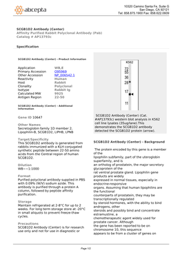 SCGB1D2 Antibody (Center) Affinity Purified Rabbit Polyclonal Antibody (Pab) Catalog # Ap13793c