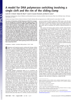 A Model for DNA Polymerase Switching Involving a Single Cleft and the Rim of the Sliding Clamp