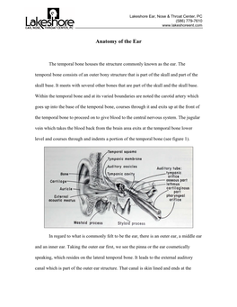 Anatomy of the Ear