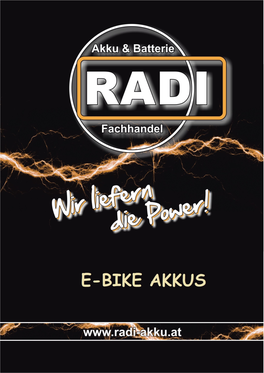 Ebike-Akkus 3