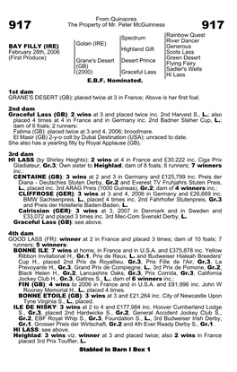 From Quinacres the Property of Mr. Peter Mcguinness Spectrum Rainbow Quest River Dancer Golan