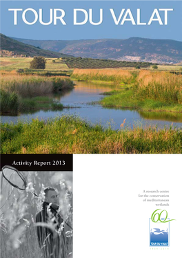 Activity Report 2013