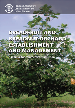 BREADFRUIT and BREADNUT ORCHARD ESTABLISHMENT and MANAGEMENT a Manual for Commercial Production