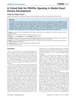 A Critical Role for Pdgfra Signaling in Medial Nasal Process Development