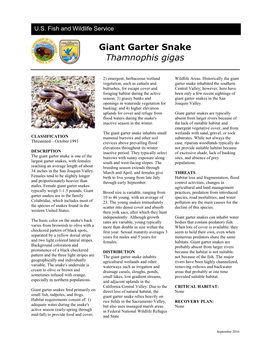 Giant Garter Snake