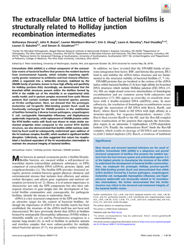 The Extracellular DNA Lattice of Bacterial Biofilms Is Structurally Related to Holliday Junction Recombination Intermediates