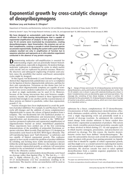 Exponential Growth by Cross-Catalytic Cleavage of Deoxyribozymogens