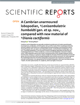 A Cambrian Unarmoured Lobopodian, †Lenisambulatrix Humboldti Gen. Et Sp