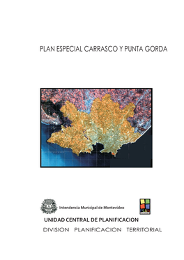 Plan Especial Carrasco Y Punta Gorda