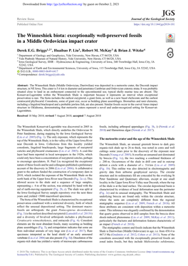 Exceptionally Well-Preserved Fossils in a Middle Ordovician Impact Crater