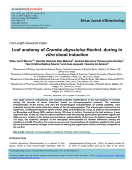 Leaf Anatomy of Crambe Abyssinica Hochst. During in Vitro Shoot Induction