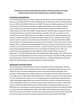 First Record of Little Bunting (Emberiza Pusilla) for British Columbia and Canada. by Rick Toochin, Peter Hamel, Margo Hearne, and Martin Williams