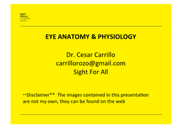 Eye Anatomy Slides File