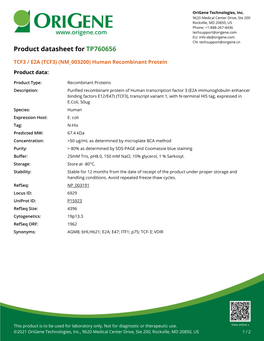 (TCF3) (NM 003200) Human Recombinant Protein Product Data
