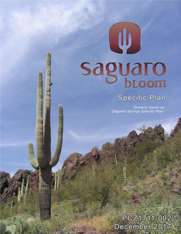 Saguaro Springs Specific Plan Was Adopted in 2005