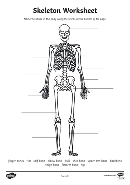 Skeleton Worksheet