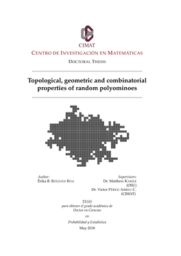 Topological, Geometric and Combinatorial Properties of Random Polyominoes