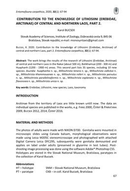 Contribution to the Knowledge of Lithosiini (Erebidae, Arctiinae) of Central and Northern Laos, Part 2