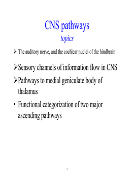 Lecture 25 Notes (PDF)