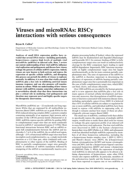 Viruses and Micrornas: Riscy Interactions with Serious Consequences