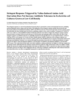 Stringent Response Triggered by Valine-Induced Amino Acid Starvation Does Not Increase Antibiotic Tolerance in Escherichia Coli Cultures Grown at Low Cell Density