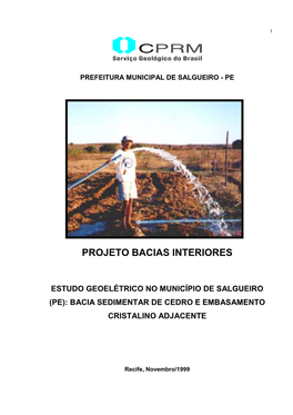 Estudo Geoelétrico No Município De Salgueiro (Pe): Bacia Sedimentar De Cedro E Embasamento Cristalino Adjacente