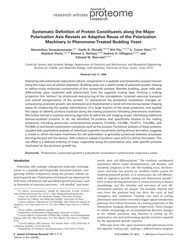 Systematic Definition of Protein Constituents Along the Major