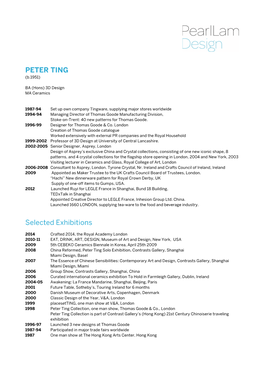 PETER TING Selected Exhibitions