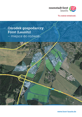 Ośrodek Gospodarczy Forst (Lausitz) – Miejsce Do Rozwoju Digitales Orthophoto LGB